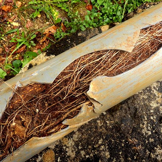 Same Day Drain Sewer & Rooter Pros Across Epping